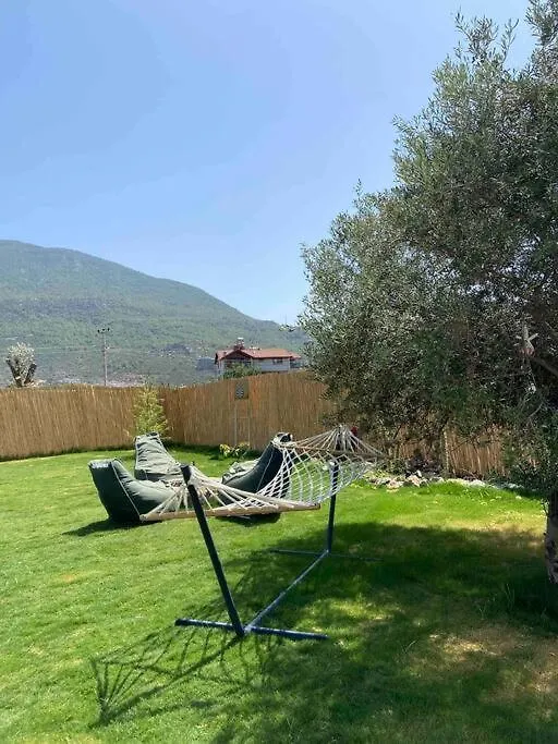 Aslan Villa Fethiye Denize Yakin Merkeze Yakin Turkey