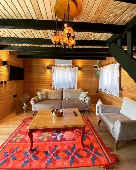 Aslan Villa Fethiye Denize Yakin Merkeze Yakin 0*,  Turkey